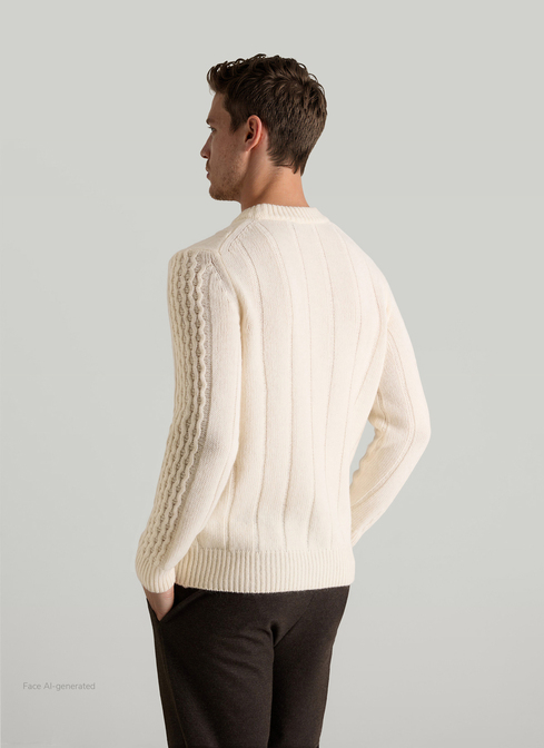 Pullover Rundhals 1/1 Arm width=