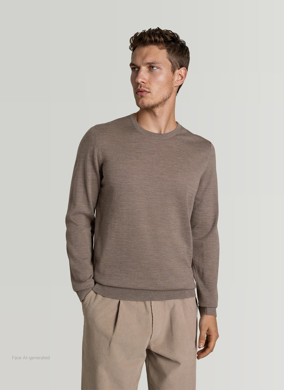Pullover Rundhals 1/1 Arm Brownie Frontansicht