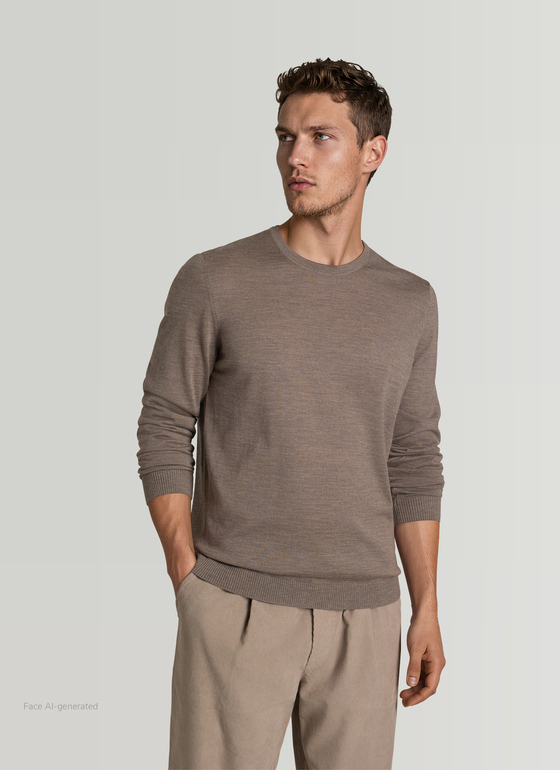 Pullover Rundhals 1/1 Arm Brownie Frontansicht