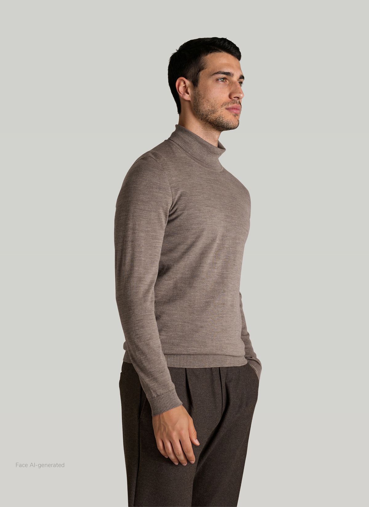 Pullover Rollkragen 1/1 Arm, Brownie Frontansicht