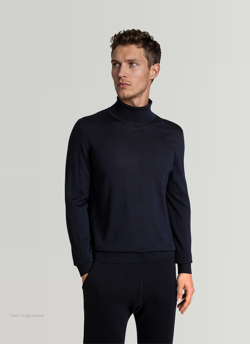 Pullover Rollkragen 1/1 Arm width=