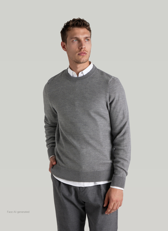 Pullover Rundhals 1/1 Arm Shark Skin Frontansicht