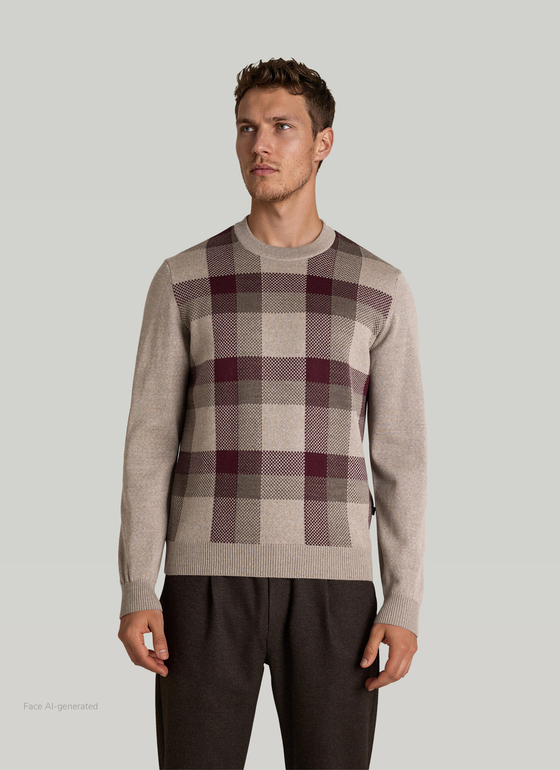 Pullover Rundhals 1/1 Arm Cedar Wood Frontansicht