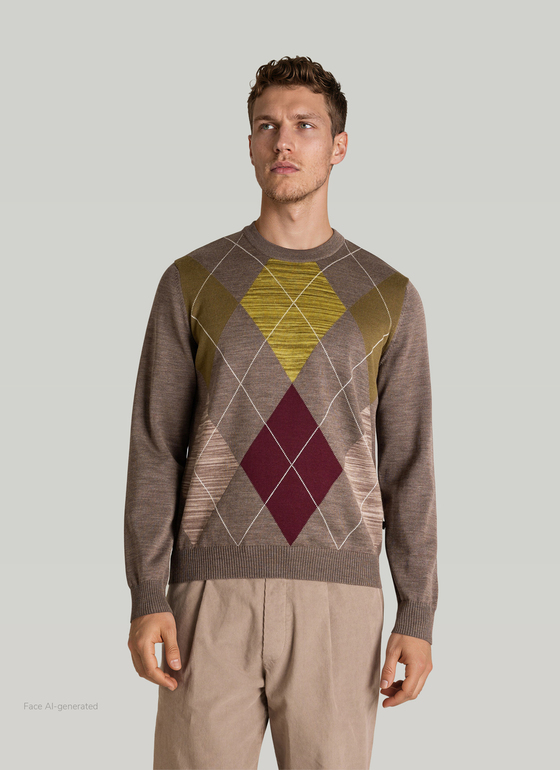 Pullover Stehkragen Zip 1/1 Arm Brownie Frontansicht