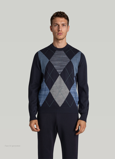 Pullover Stehkragen Zip 1/1 Arm width=