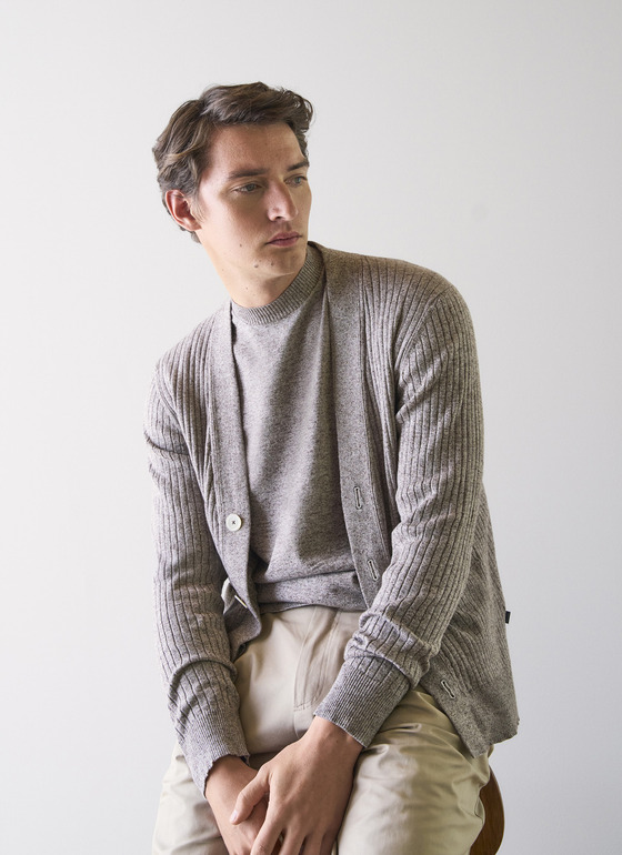 Strickjacke Knopf 1/1 Arm Pale Brown Frontansicht