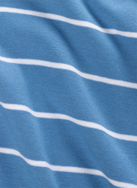 Longsleeve 1/1 Arm Dutch Blue Frontansicht