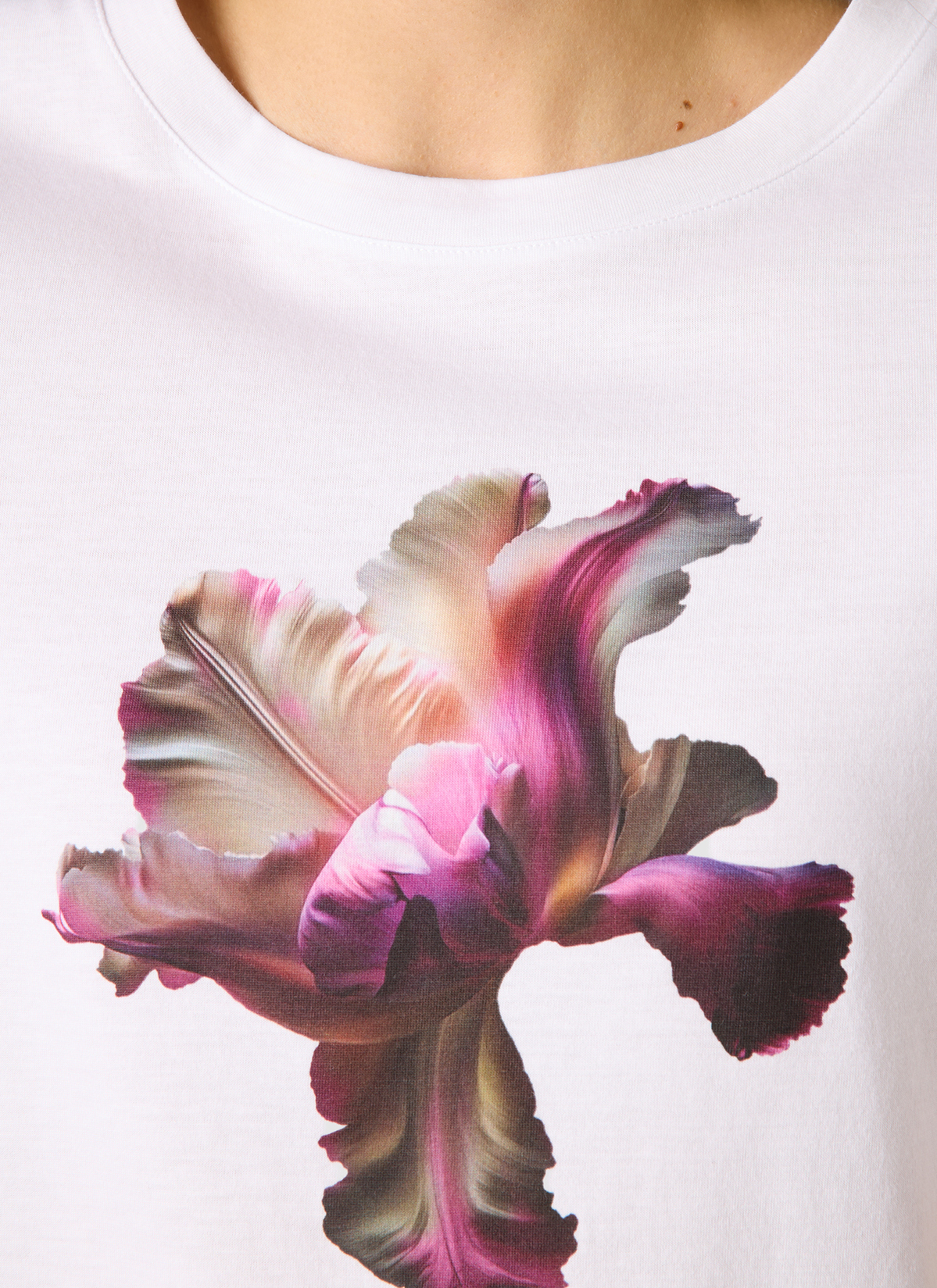 T-Shirt Rundhals 1/2 Arm, Chateau Rose Detailansicht 1