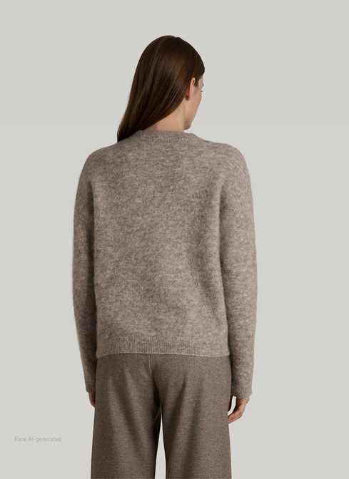Pullover Rundhals 1/1 Arm width=