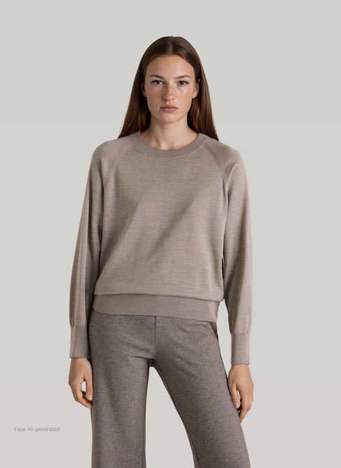 Pullover Rundhals 1/1 Arm width=