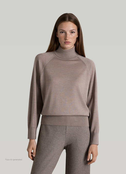 Pullover Rollkragen 1/2 Arm width=