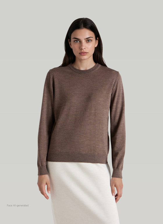 Pullover Rundhals 1/1 Arm Brownie Frontansicht