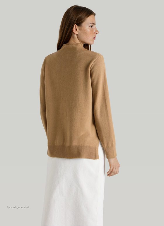 Pullover Stehkragen 1/1 Arm Pumpkin Spice Frontansicht