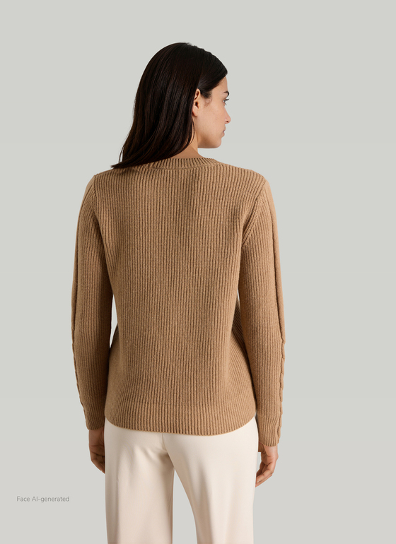 Pullover Rundhals 1/1 Arm Pumpkin Spice Frontansicht