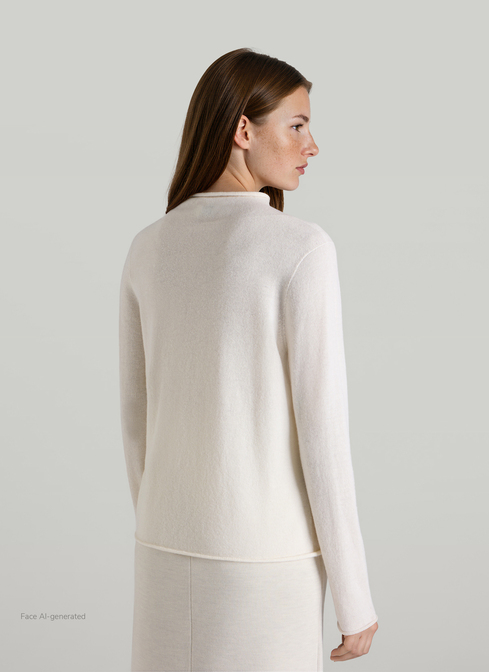Pullover Stehkragen 1/1 Arm width=