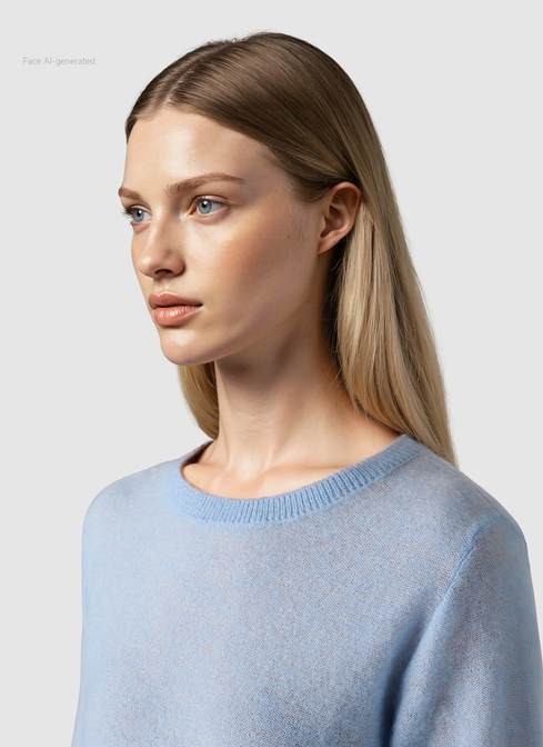Pullover Rundhals 1/1 Arm width=