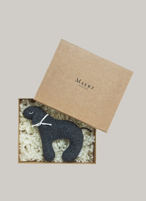 Accessoires (sonstige) width=